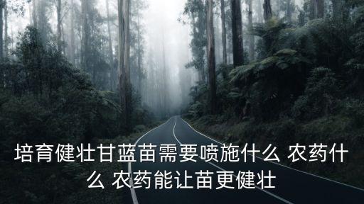 培育健壯甘藍苗需要噴施什么 農(nóng)藥什么 農(nóng)藥能讓苗更健壯