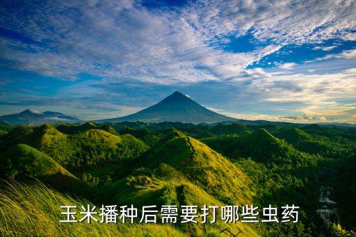 玉米除草什么農藥好打蟲,苗圃除草用什么農藥