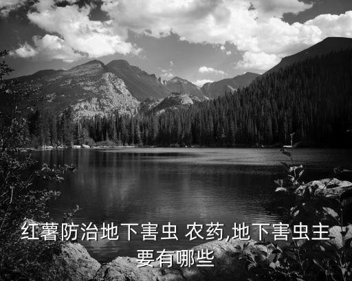 紅薯防治地下害蟲 農藥,地下害蟲主要有哪些