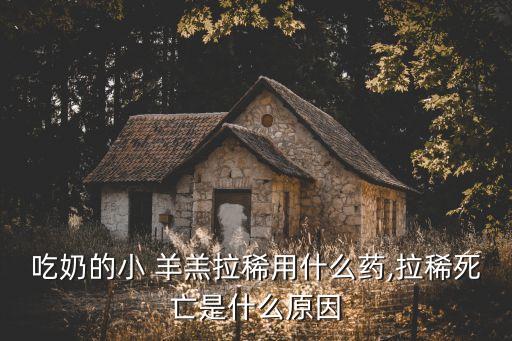 吃奶的小 羊羔拉稀用什么藥,拉稀死亡是什么原因