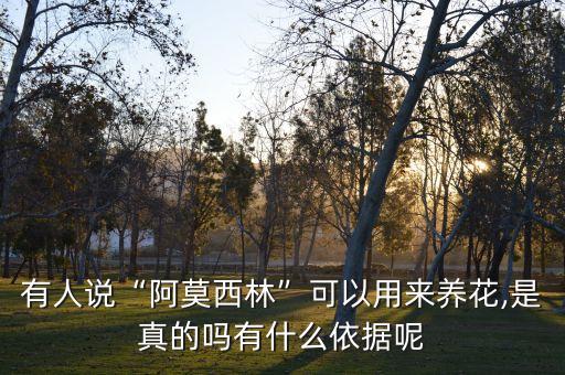 有人說“阿莫西林”可以用來養花,是真的嗎有什么依據呢