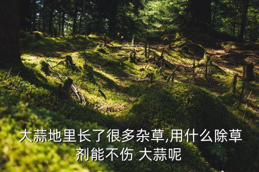  大蒜地里長了很多雜草,用什么除草劑能不傷 大蒜呢