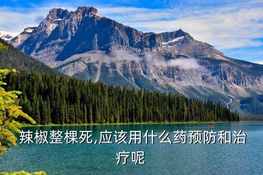  辣椒整棵死,應該用什么藥預防和治療呢
