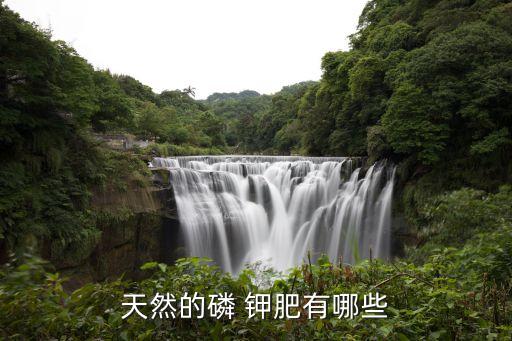 什么農(nóng)藥含有磷鉀肥成分,什么東西里面含有磷鉀肥