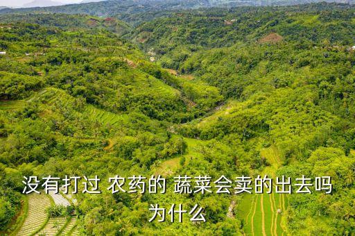 沒有打過 農(nóng)藥的 蔬菜會賣的出去嗎為什么