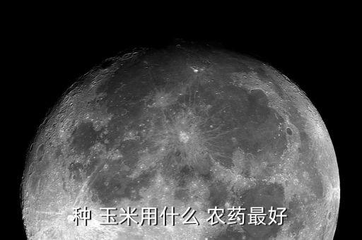 玉米白斑病用什么農(nóng)藥,玉米一般打什么農(nóng)藥