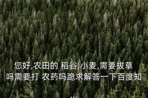 您好,農田的 稻谷,小麥,需要拔草嗎需要打 農藥嗎跪求解答一下百度知...