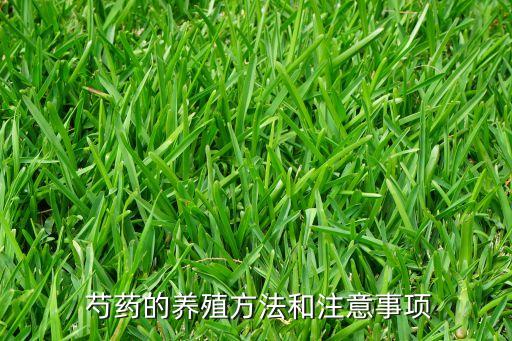 芍藥都怕什么農(nóng)藥,螢火蟲最怕什么農(nóng)藥