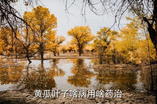 瓜葉片發黃用什么農藥,葉子發黃是缺什么