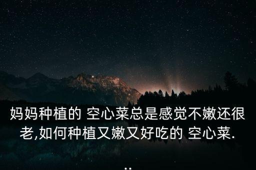 空心菜分蘗噴什么農藥