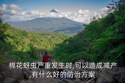  棉花蚜蟲嚴重發生時,可以造成減產,有什么好的防治方案