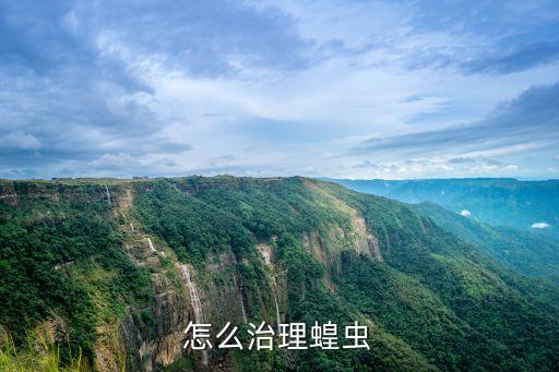 蔬菜螞蚱打什么農藥,螞蚱用什么農藥最好
