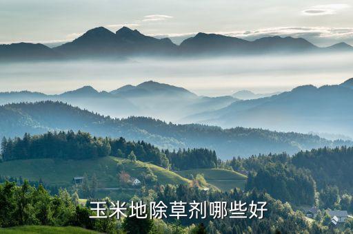 有機玉米加什么農(nóng)藥好,玉米不能用什么農(nóng)藥