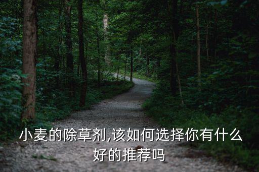  小麥的除草劑,該如何選擇你有什么好的推薦嗎