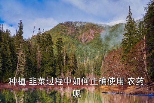 種植 韭菜過程中如何正確使用 農藥呢