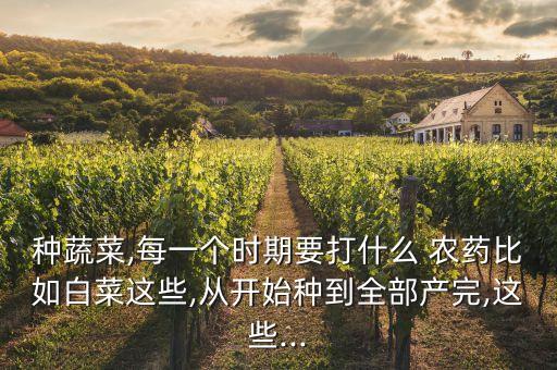 種蔬菜,每一個(gè)時(shí)期要打什么 農(nóng)藥比如白菜這些,從開(kāi)始種到全部產(chǎn)完,這些...