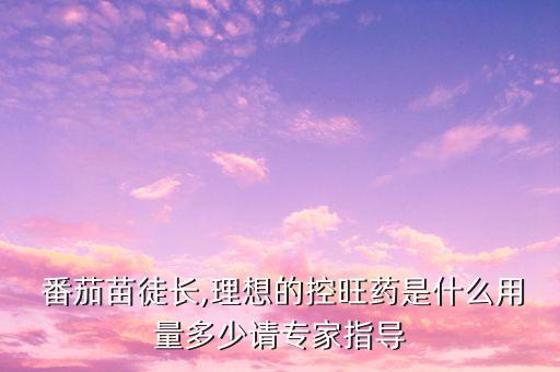番茄苗期可以打什么農(nóng)藥,番茄育苗期要打什么藥