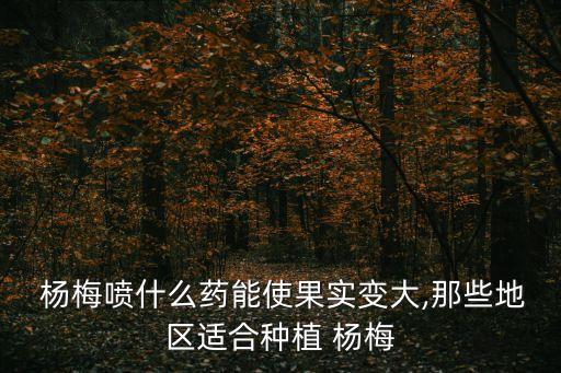  楊梅噴什么藥能使果實(shí)變大,那些地區(qū)適合種植 楊梅