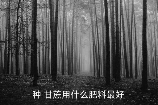 種 甘蔗用什么肥料最好