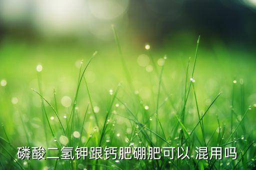 磷酸二氫鉀跟鈣肥硼肥可以 混用嗎