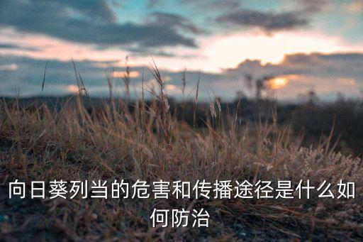 向日葵列當(dāng)?shù)奈：蛡鞑ネ緩绞鞘裁慈绾畏乐? class=