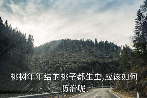 桃樹盛果期打什么農藥防蟲