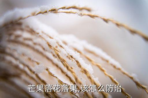 芒果初果用什么農藥,芒果農藥什么時間打最好
