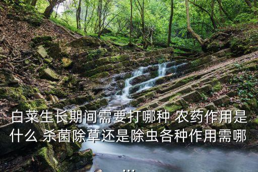 白菜生長期間需要打哪種 農藥作用是什么 殺菌除草還是除蟲各種作用需哪...