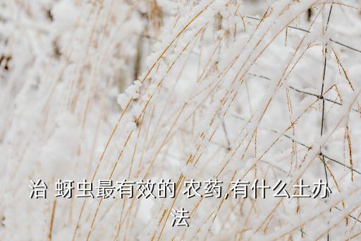 治 蚜蟲最有效的 農藥,有什么土辦法