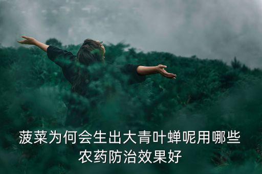 種菠菜需要什么農藥,菠菜對什么農藥過敏