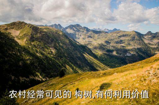 清除構(gòu)樹打什么農(nóng)藥好,構(gòu)樹用什么農(nóng)藥能殺死