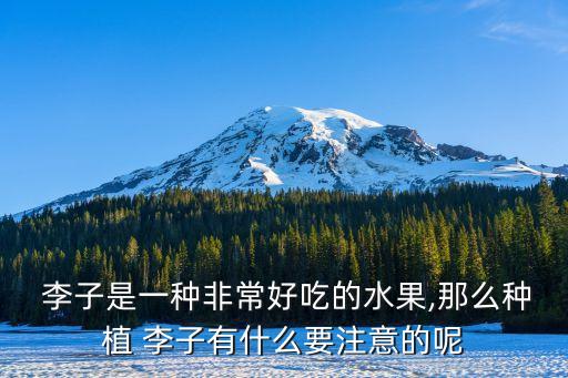 李子什么時候噴灑農(nóng)藥最佳,噴灑紅蜘蛛的農(nóng)藥什么時候最好