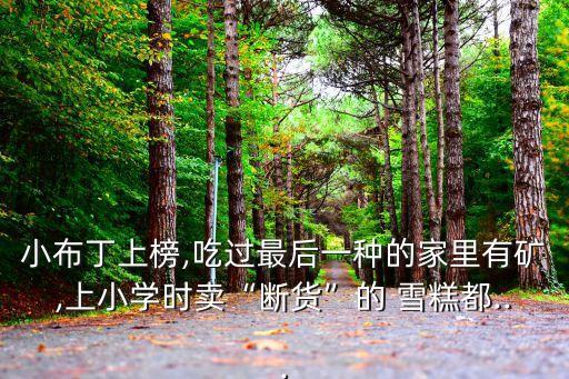 小布丁上榜,吃過最后一種的家里有礦,上小學(xué)時(shí)賣“斷貨”的 雪糕都...