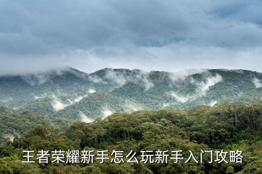 王者農藥打什么位置可以c,王者新手適合打什么位置