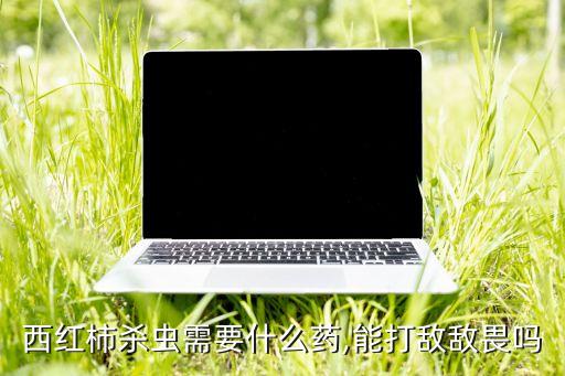 種番茄加什么農藥好呢,番茄打什么農藥