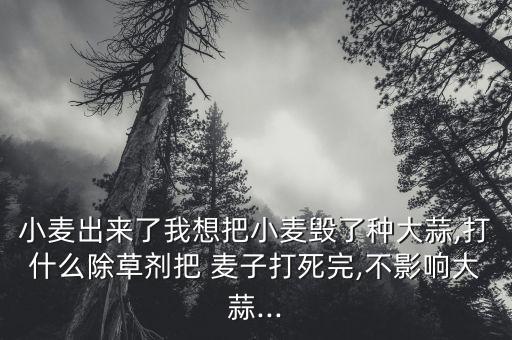 什么農藥能讓麥子死亡,野麥子用什么農藥
