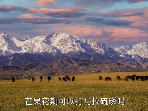  芒果花期可以打馬拉硫磷嗎