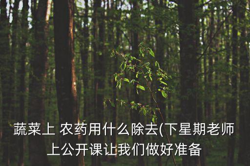 蔬菜上 農藥用什么除去(下星期老師上公開課讓我們做好準備
