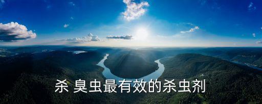 臭蟲清農(nóng)藥什么價(jià)位,什么農(nóng)藥能殺死臭蟲
