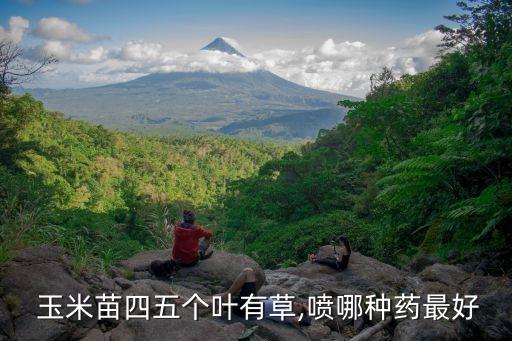 玉米幼苗期噴什么農藥,玉米的幼苗叫什么