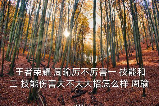  王者榮耀 周瑜厲不厲害一 技能和二 技能傷害大不大大招怎么樣 周瑜...