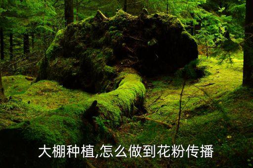 熊蜂授粉不能用什么農藥,新版熊蜂授粉能用什么農藥