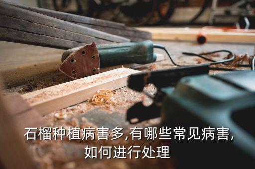 石榴主要打什么病毒農藥