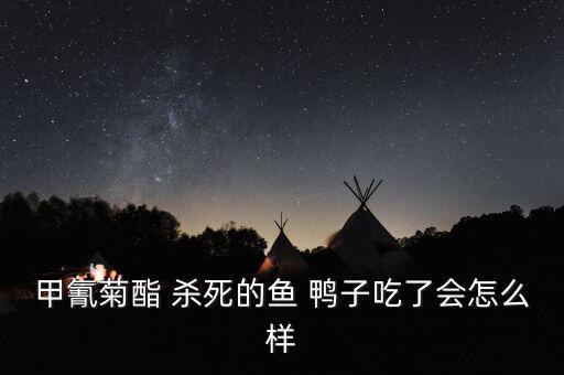 用什么農藥可以殺死鴨子,什么農藥對鴨子特毒