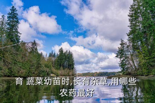 育 蔬菜幼苗時(shí),長(zhǎng)有雜草,用哪些 農(nóng)藥最好