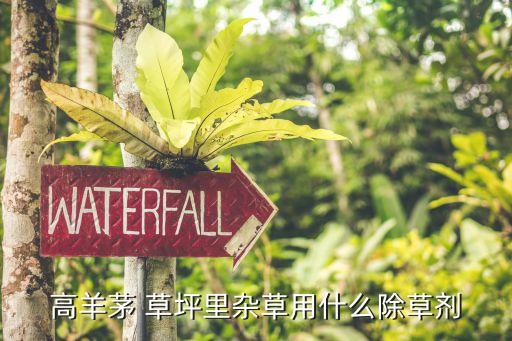 什么農藥殺草坪,高爾夫球場草坪農藥