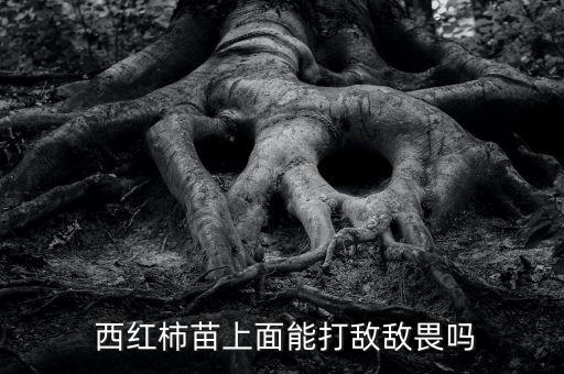 西紅柿結果了打什么農藥,種植西紅柿用什么農藥