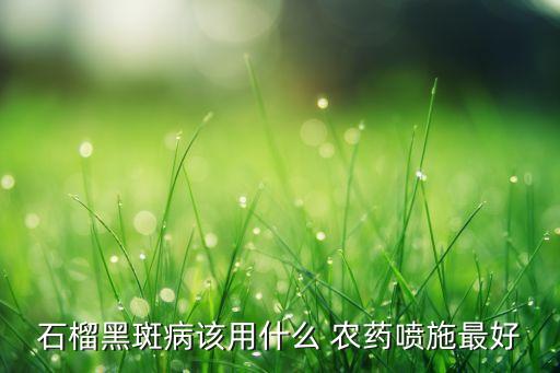 石榴黑斑病該用什么 農(nóng)藥噴施最好