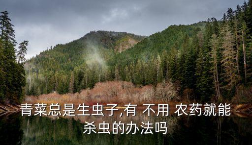 不用農藥用什么工具,噴灑農藥的工具叫什么