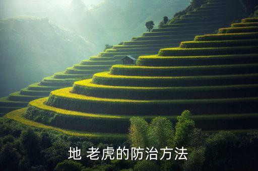 地 老虎的防治方法
